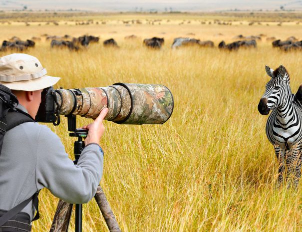 photographic-safari