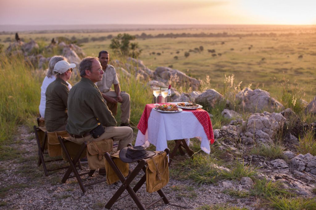 Tanzania Safari Tours
