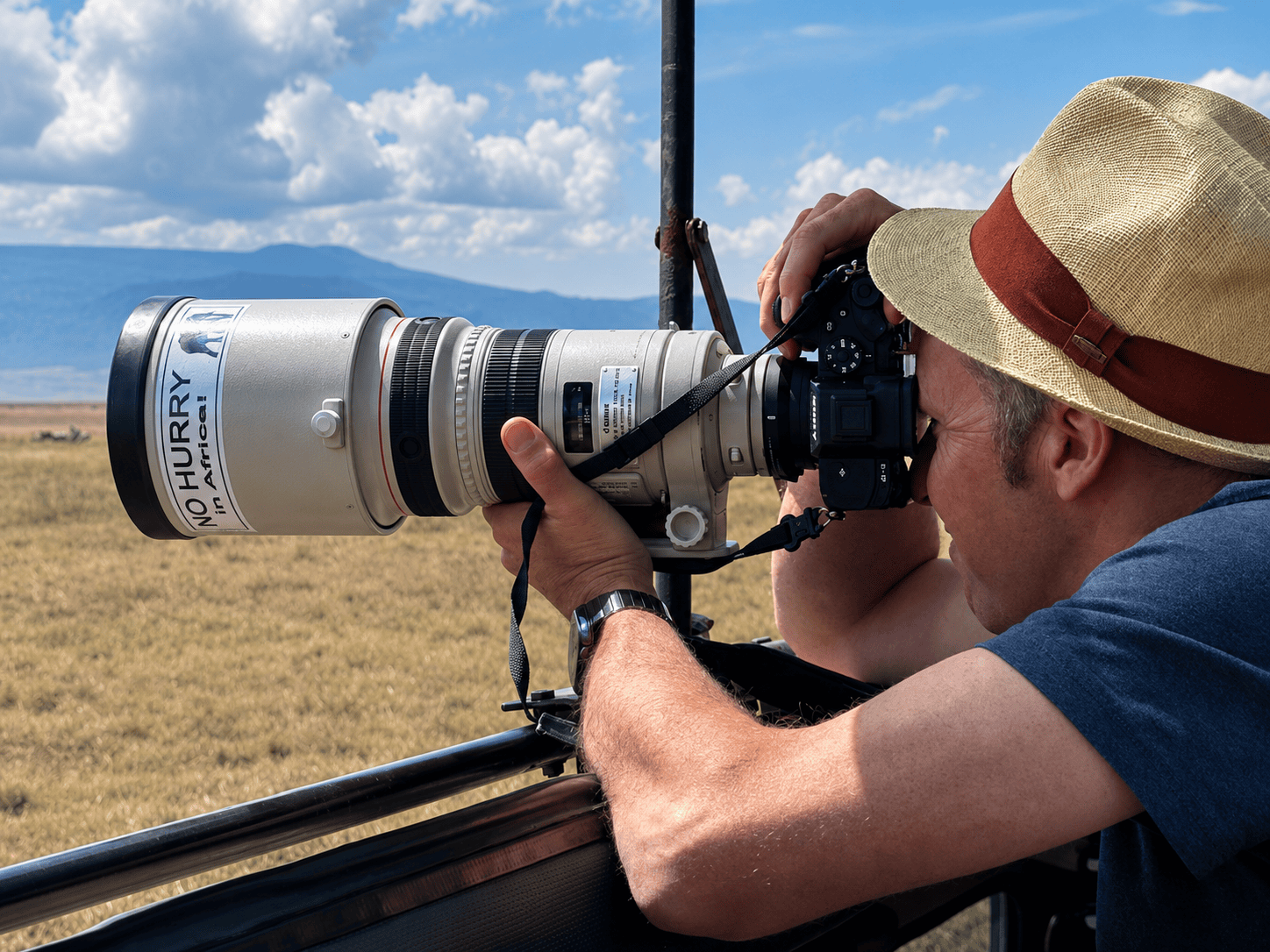 Wild animals on the African plains